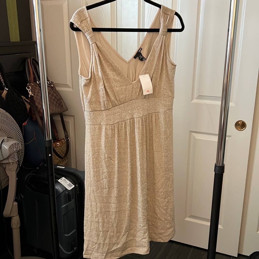 H & M Gold Glitter Dress